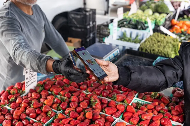 Agronomy on Autopay: The Unsettling Promise of the Flat-Fee Crop Consultant