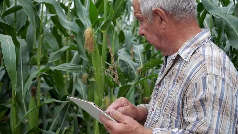 Thirty Years of 'Next Season' Promises: A Veteran Agronomist's Scorecard on Precision Ag Hype