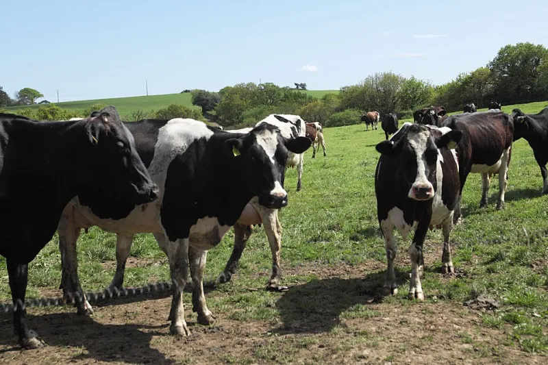 Where Yield Maps Go to Die: Confronting the Data Graveyards on America's Farms